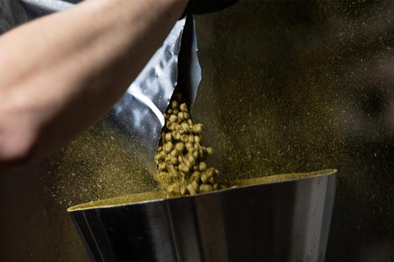Unlocking Flavor Secrets: The Incredible Benefits of Dry Hopping in  Brewing! - Micet Craft