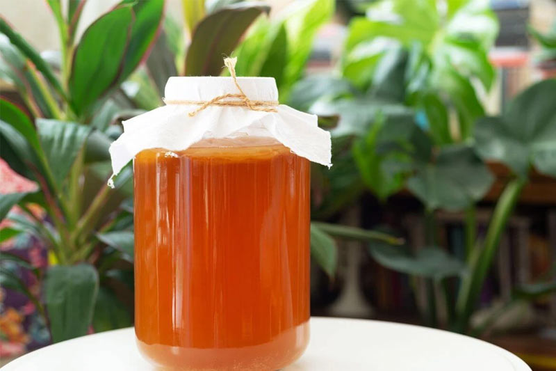 What is Kombucha Home Brewing