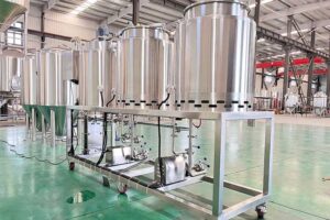 100L home beer brewing equipment