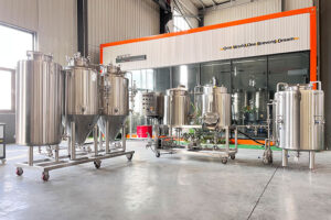 100L home brewing equipment in Ukraine